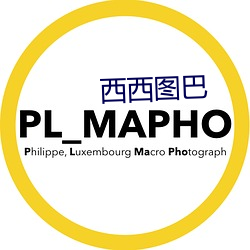 西西图巴