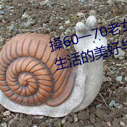 搡(sǎng)60一70老女人老妇女(nǚ)(探寻晚(wǎn)年生活的美好(hǎo)与挑战(zhàn))