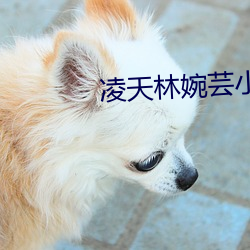 凌天林婉(w見n)芸小说免(mi見n)费阅读