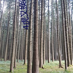 4虎又换啥地址了
