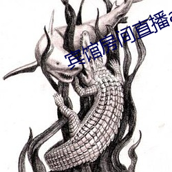 宾馆房(房)间(間)直播app