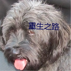 重生之路