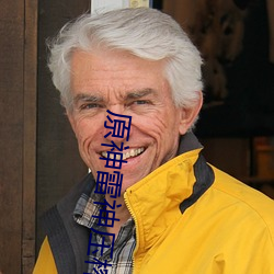 原神雷神压榨旅行者