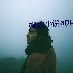 蜜桃小(xiǎo)说(shuō)app阅币破解(jiě)