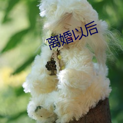 离婚以后 （风韵）