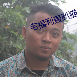 宅福利轟趴貓