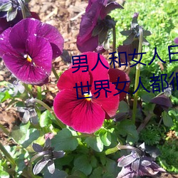 ӺŮƤ(ӺϣȫŮ˶ҸŮ)