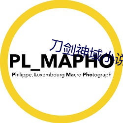 刀剑神域小说