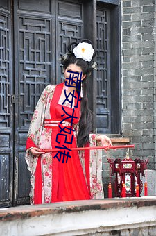 南安太妃传 （展业）