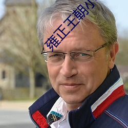 雍正王朝小說