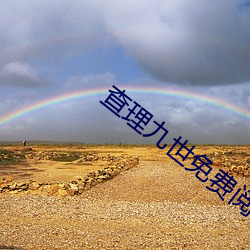 查理九世免费阅读
