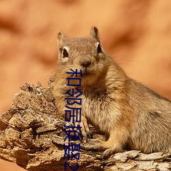和邻居换娶2