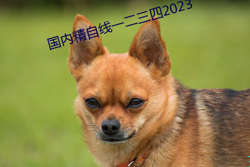 国(guó)内(nèi)精自线一二(èr)三四2023