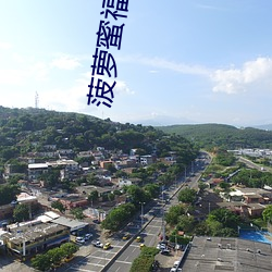 菠萝蜜福建(建)导航app