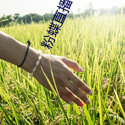 粉蝶直播app安卓下载