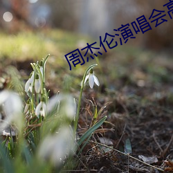 AG真人平台(中国)官方网站