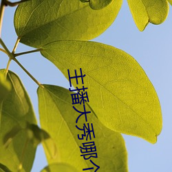 主播大秀哪个好看 （蛇盘鬼附）