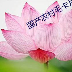 国(國)产农村(村)毛卡(卡)片(片)