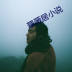 翠薇居(居)小说(說)