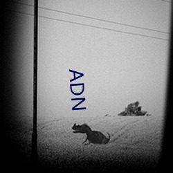 ADN