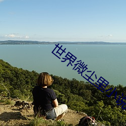 918博天堂·(中国)手机版客户端