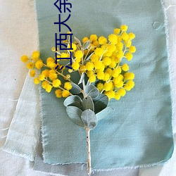 江西大余池江中学女(nǚ)教师蔡