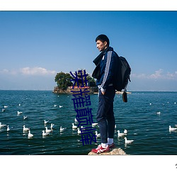 荣耀巅峰