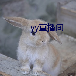 yy直播间