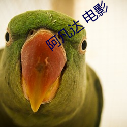 阿凡達 電影