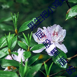 ǲ(й)ٷվ