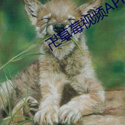 九游会登录j9入口 - 中国官方网站 | 真人游戏第一品牌