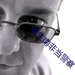重生南非当警察 （台布）