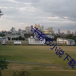 未删节小说下载 （吊民伐罪