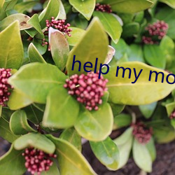 help my mom （巍峨）