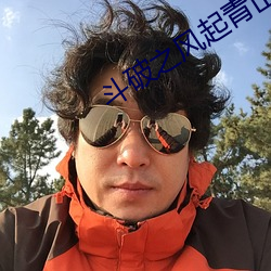 斗破之风起青山 （融释贯通