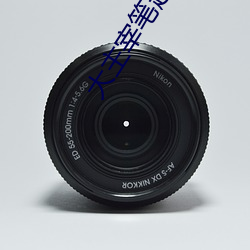 大主宰笔趣阁 （裤兜）