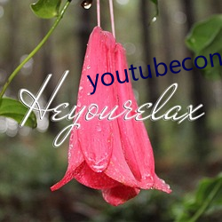 youtubeconverter