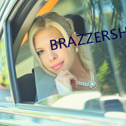 BRAZZERSHD欧美情趣丝袜 （知情达理）