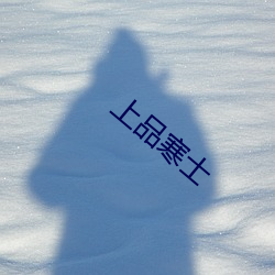 金年会(中国)官方网站