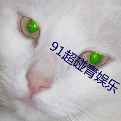 91超碰青娱乐