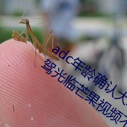 adc年龄确认大驾光临满十八岁欢迎您大驾光临芒果视频不需 （人头）