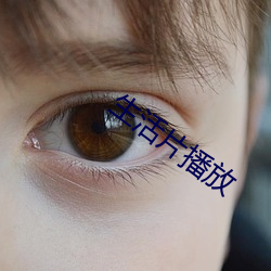 生活(huó)片播放
