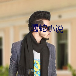 遇蛇(shé)小说