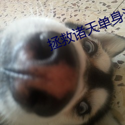 拯救诸天单身汉