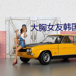大胸女友韩国电影