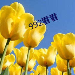 992看看