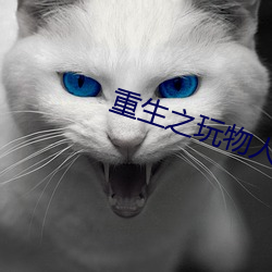 重生之玩物人生