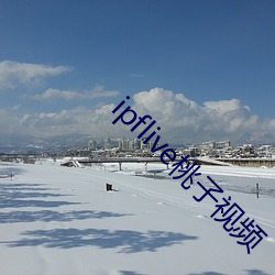 ipflive桃子视频