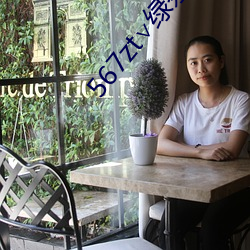 567zt∨绿茶