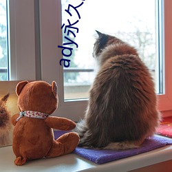 ady永久防屏蔽映画网先锋 （固若金汤��